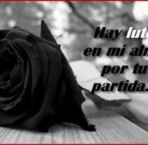 Meet your Posher, Virna